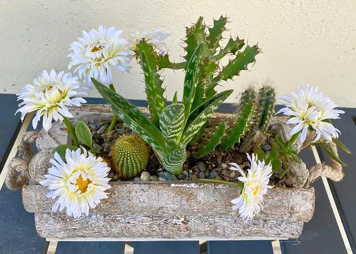 Nonna Teresa Alojamento de Acomodação e Pequeno-almoço *